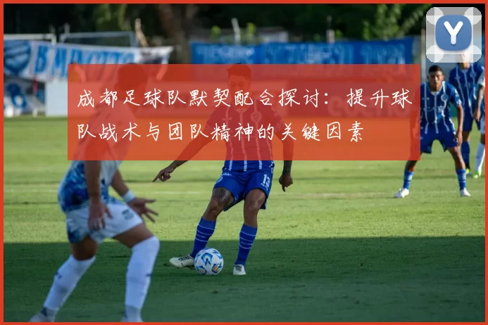 成都足球队默契配合探讨：提升球队战术与团队精神的关键因素