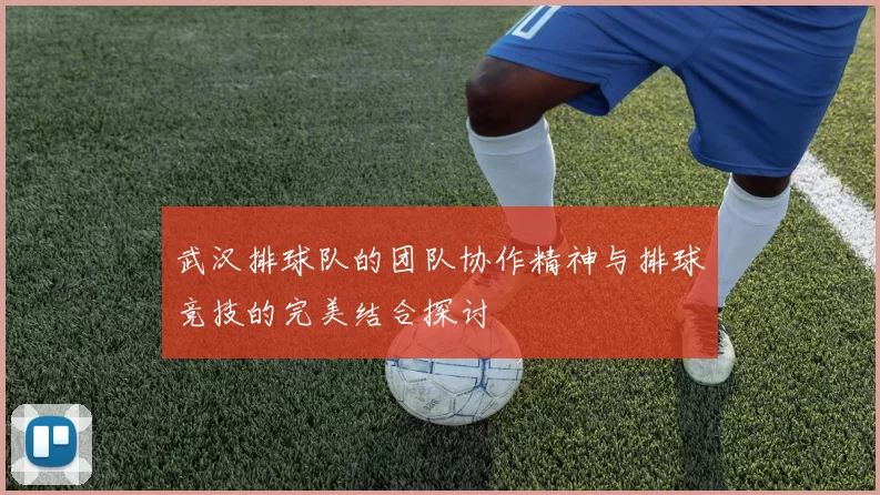 武汉排球队的团队协作精神与排球竞技的完美结合探讨