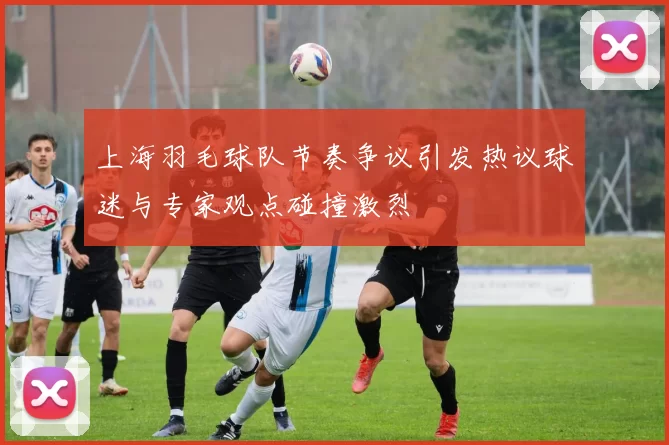 上海羽毛球队节奏争议引发热议球迷与专家观点碰撞激烈