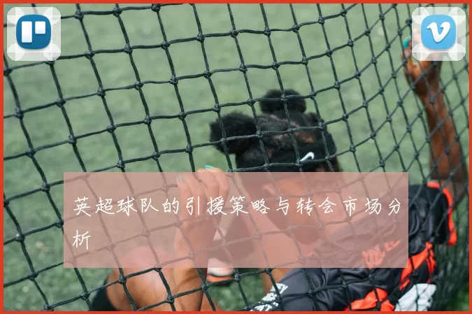 英超球队的引援策略与转会市场分析