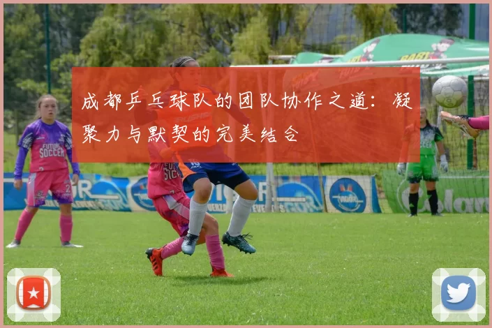 成都乒乓球队的团队协作之道：凝聚力与默契的完美结合