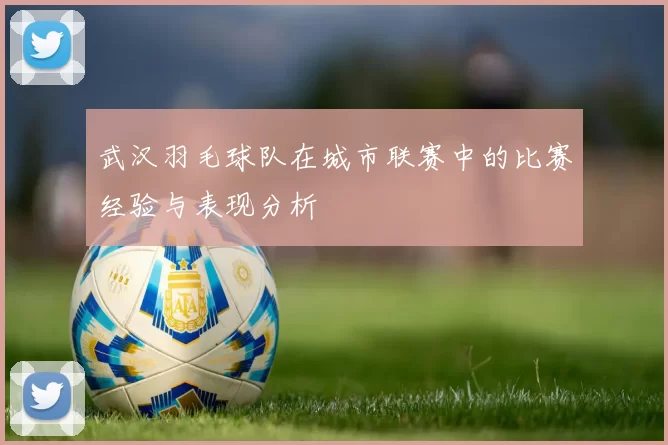武汉羽毛球队在城市联赛中的比赛经验与表现分析