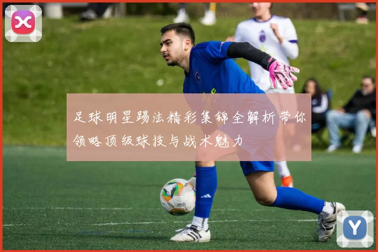 足球明星踢法精彩集锦全解析带你领略顶级球技与战术魅力