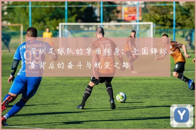 深圳足球队的华丽转身：全国锦标赛背后的奋斗与蜕变之路