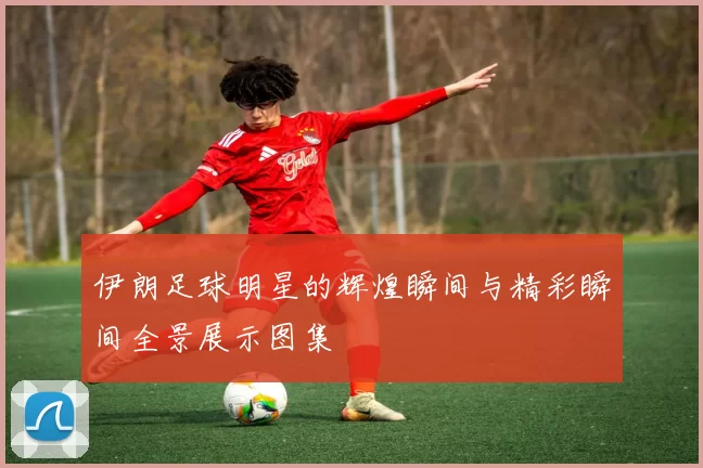 伊朗足球明星的辉煌瞬间与精彩瞬间全景展示图集