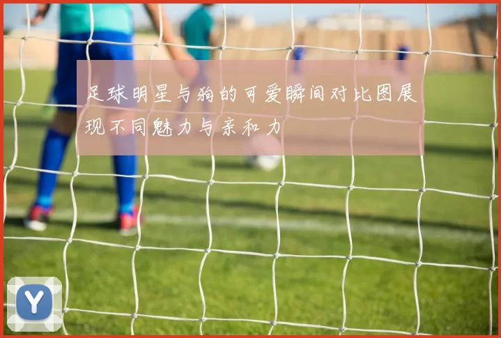 足球明星与狗的可爱瞬间对比图展现不同魅力与亲和力