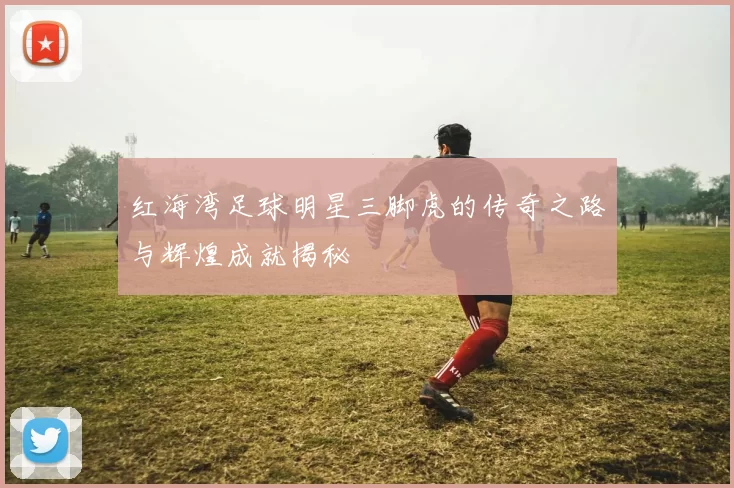 红海湾足球明星三脚虎的传奇之路与辉煌成就揭秘