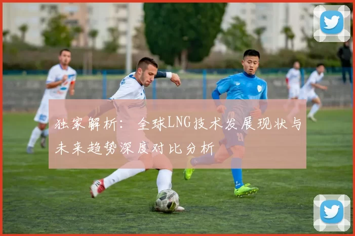 独家解析：全球LNG技术发展现状与未来趋势深度对比分析