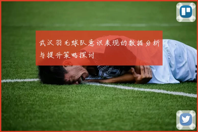 武汉羽毛球队意识表现的数据分析与提升策略探讨
