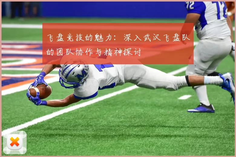 飞盘竞技的魅力：深入武汉飞盘队的团队协作与精神探讨