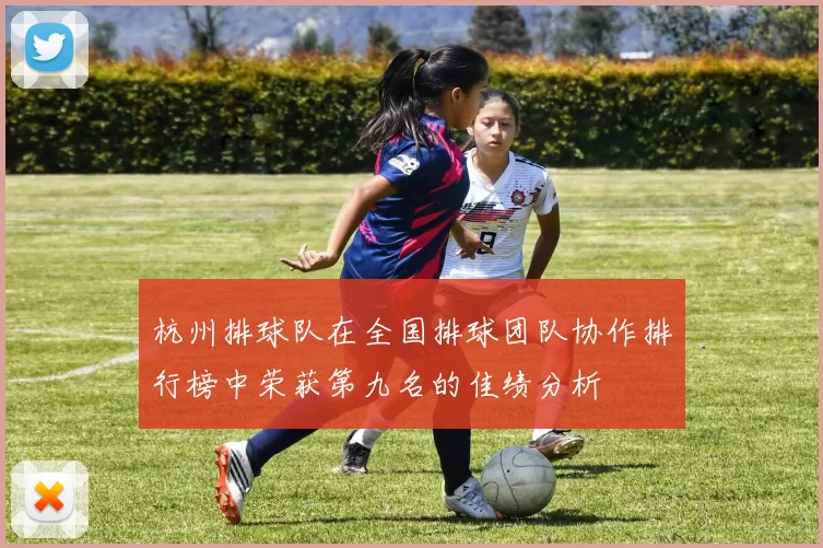杭州排球队在全国排球团队协作排行榜中荣获第九名的佳绩分析