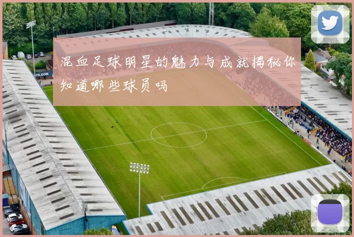 混血足球明星的魅力与成就揭秘你知道哪些球员吗