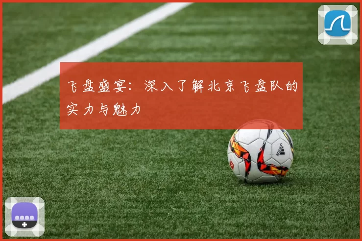 飞盘盛宴：深入了解北京飞盘队的实力与魅力