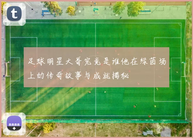 足球明星大哥究竟是谁他在绿茵场上的传奇故事与成就揭秘