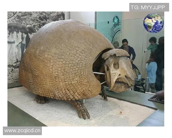 灰熊栖息地保护与生态平衡的重要性探讨及其未来生存挑战 灰熊栖息地保护与生态平衡的重要性探讨及其未来生存挑战